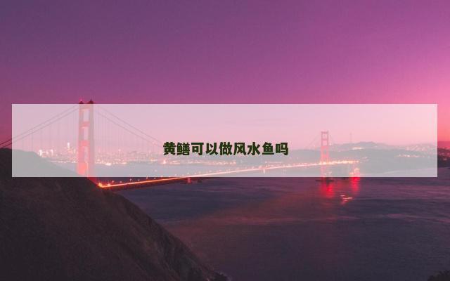 黄鳝可以做风水鱼吗