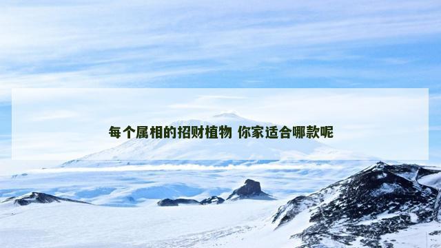 每个属相的招财植物 你家适合哪款呢