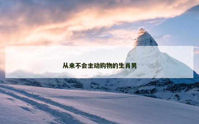 从来不会主动购物的生肖男