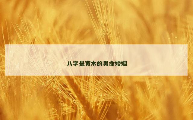 八字是寅木的男命婚姻