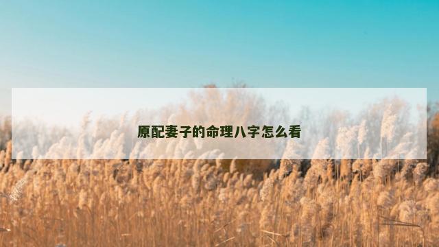 原配妻子的命理八字怎么看