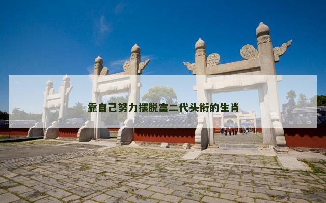 靠自己努力摆脱富二代头衔的生肖