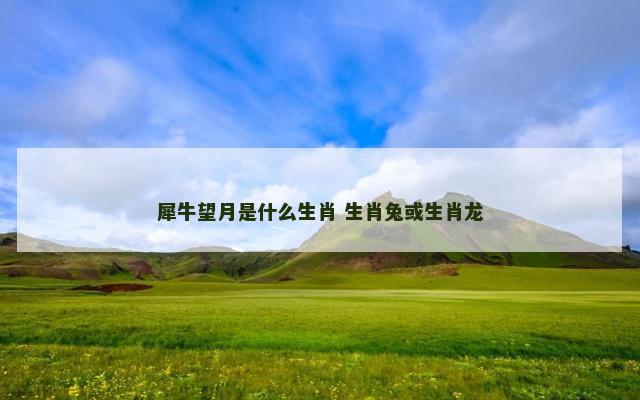 犀牛望月是什么生肖 生肖兔或生肖龙