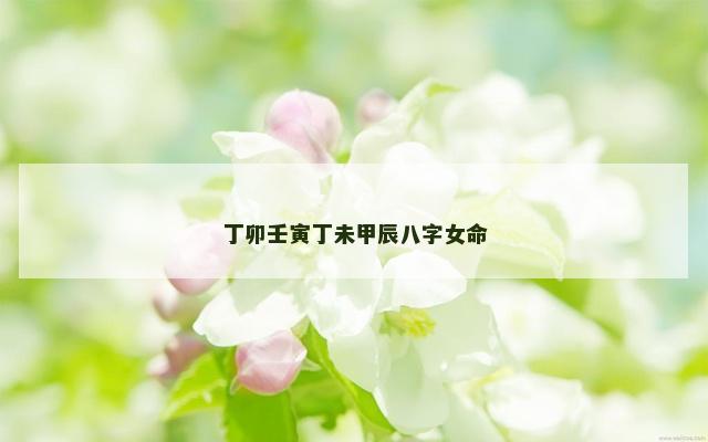 丁卯壬寅丁未甲辰八字女命