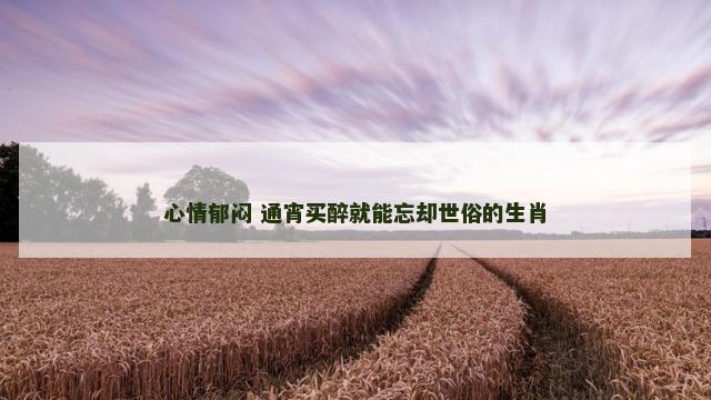 心情郁闷 通宵买醉就能忘却世俗的生肖