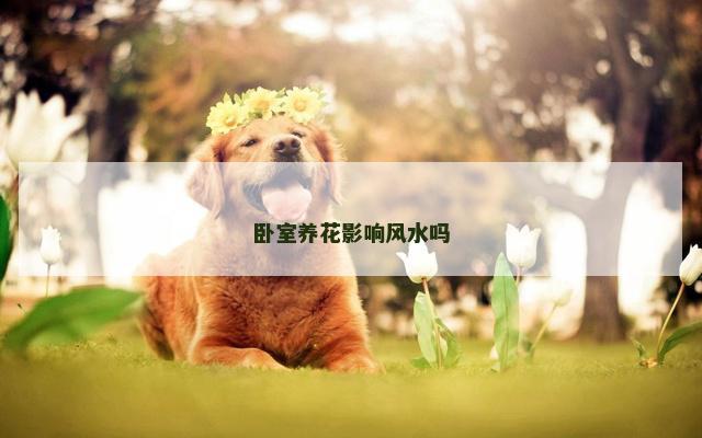 卧室养花影响风水吗