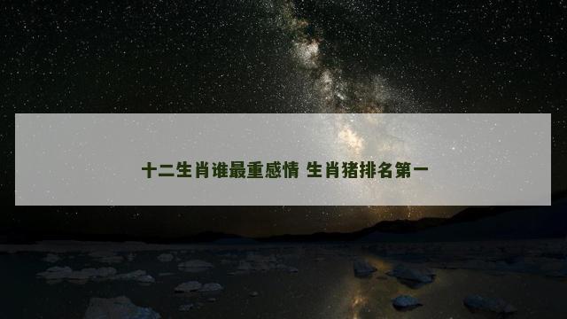 十二生肖谁最重感情 生肖猪排名第一