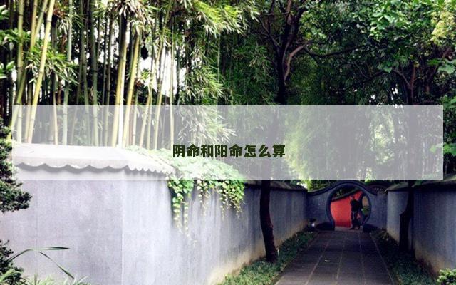 阴命和阳命怎么算
