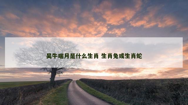吴牛喘月是什么生肖 生肖兔或生肖蛇