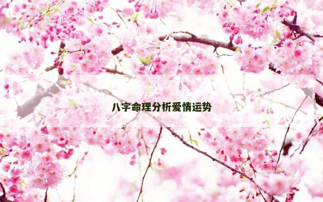 八字命理分析爱情运势