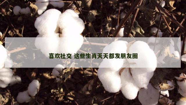 喜欢社交 这些生肖天天都发朋友圈