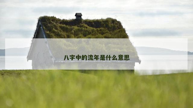 八字中的流年是什么意思