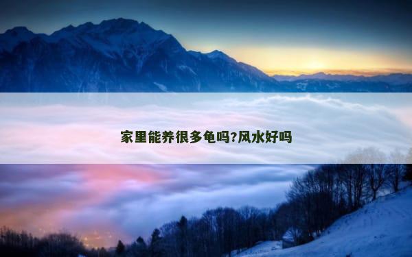 家里能养很多龟吗?风水好吗