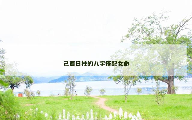 己酉日柱的八字搭配女命