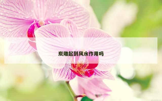 炭雕起到风水作用吗