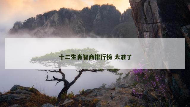十二生肖智商排行榜 太准了