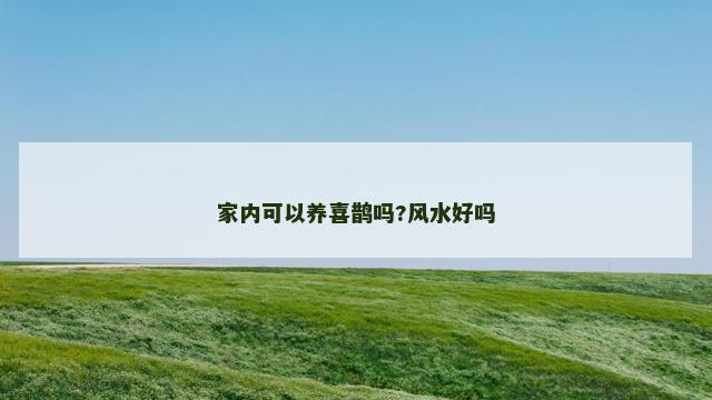 家内可以养喜鹊吗?风水好吗