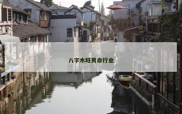 八字木旺男命行业