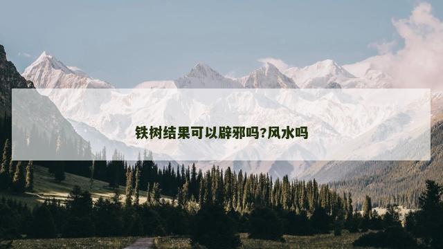 铁树结果可以辟邪吗?风水吗