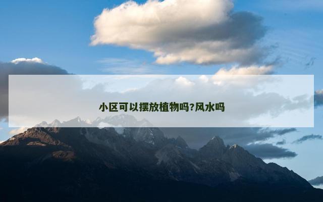 小区可以摆放植物吗?风水吗