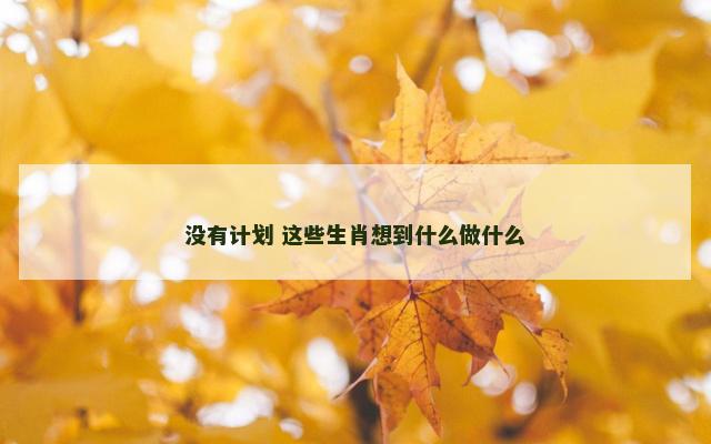 没有计划 这些生肖想到什么做什么