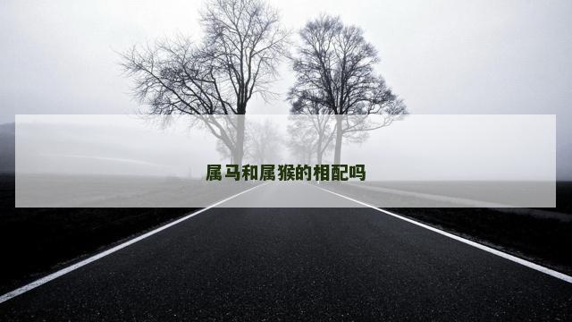 属马和属猴的相配吗