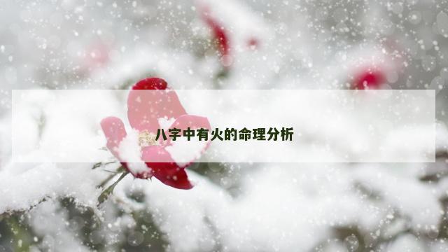八字中有火的命理分析