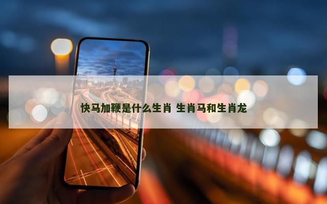 快马加鞭是什么生肖 生肖马和生肖龙