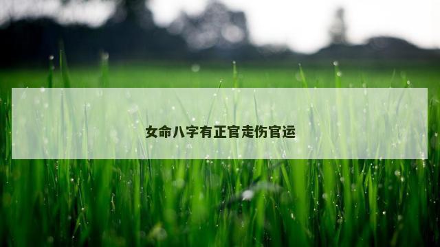 女命八字有正官走伤官运