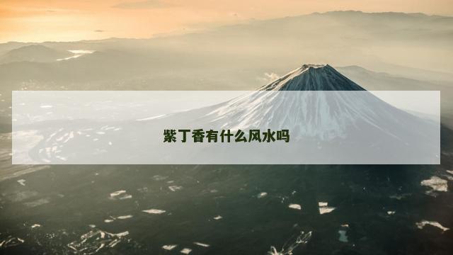 紫丁香有什么风水吗