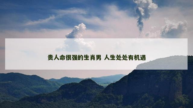 贵人命很强的生肖男 人生处处有机遇