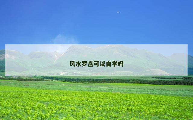 风水罗盘可以自学吗