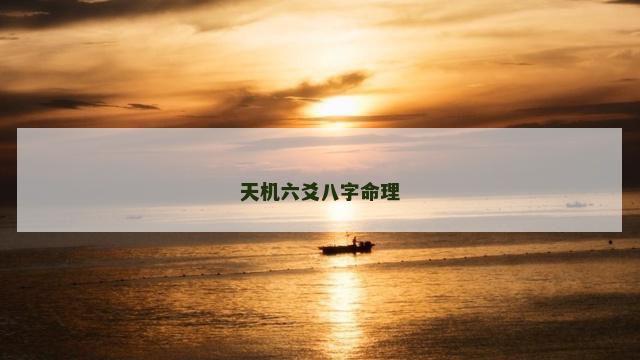 天机六爻八字命理