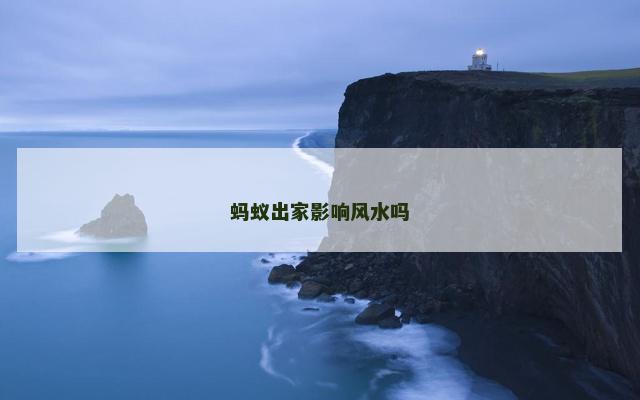 蚂蚁出家影响风水吗