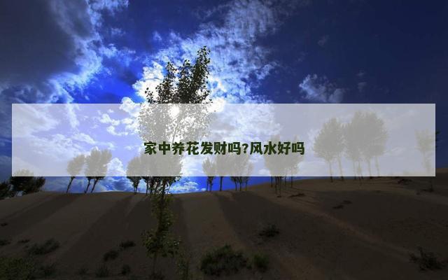 家中养花发财吗?风水好吗