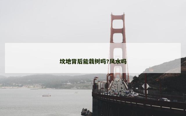 坟地背后能栽树吗?风水吗