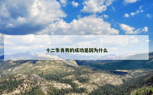 十二生肖男的成功是因为什么
