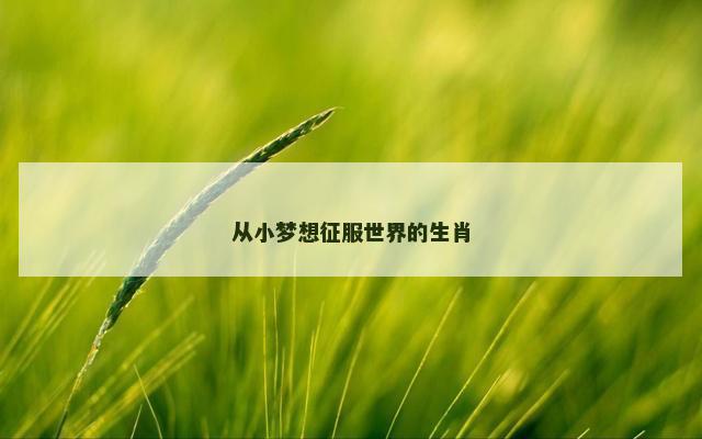 从小梦想征服世界的生肖