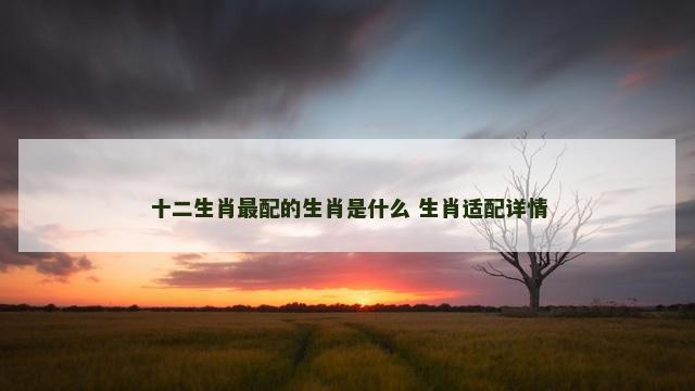 十二生肖最配的生肖是什么 生肖适配详情