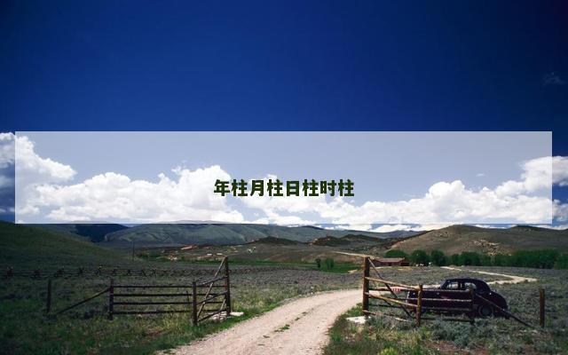 年柱月柱日柱时柱