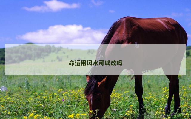 命运用风水可以改吗