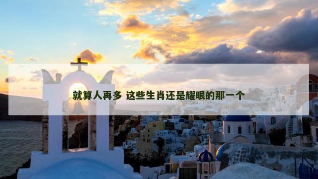 就算人再多 这些生肖还是耀眼的那一个