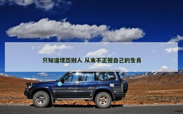 只知道埋怨别人 从来不正视自己的生肖