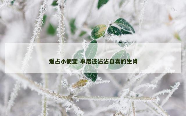 爱占小便宜 事后还沾沾自喜的生肖