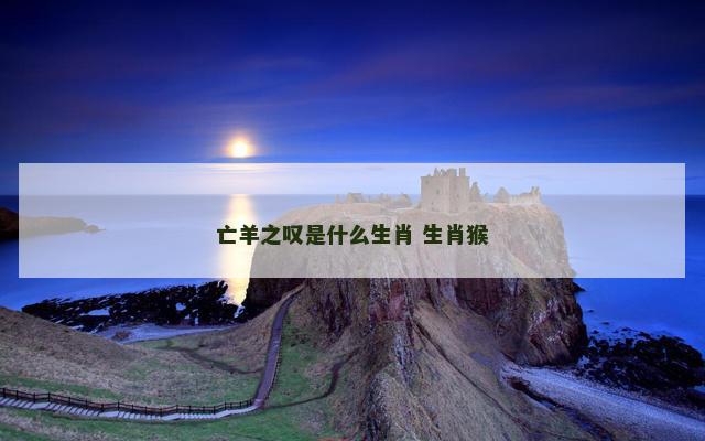 亡羊之叹是什么生肖 生肖猴