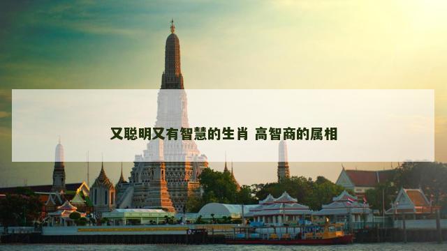 又聪明又有智慧的生肖 高智商的属相