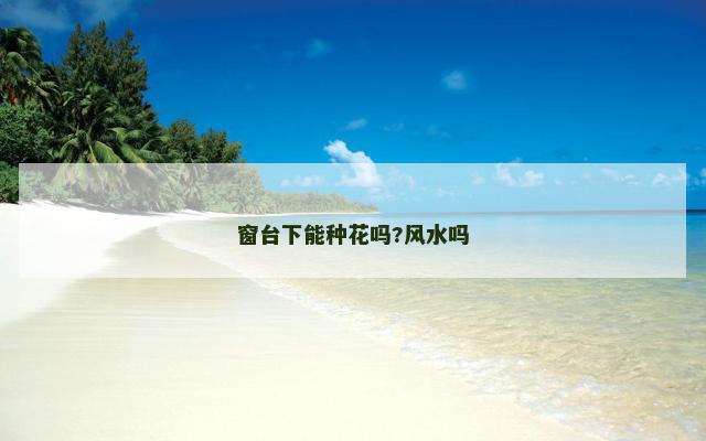 窗台下能种花吗?风水吗