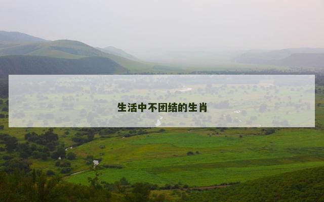 生活中不团结的生肖