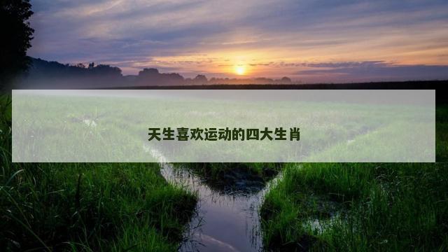 天生喜欢运动的四大生肖