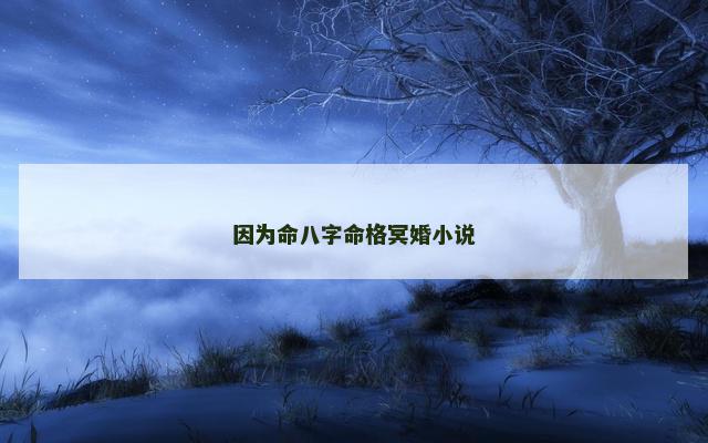 因为命八字命格冥婚小说